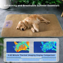 New Pet Spring Summer Cool Mat Universal Dog Cat Supplies