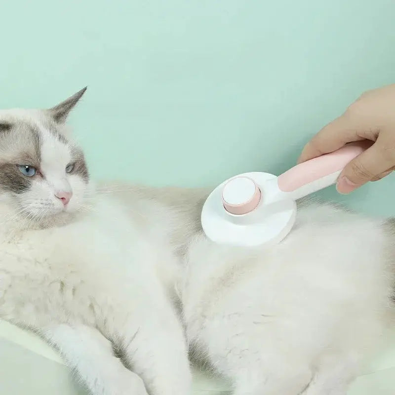 Self Cleaning Slicker Brush For Cats And Dogs Grooming Tool