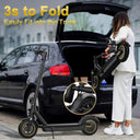 Electric Fold Scooter - Mile Range