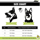 Dog Eye Safety Sunglasses and Helmet