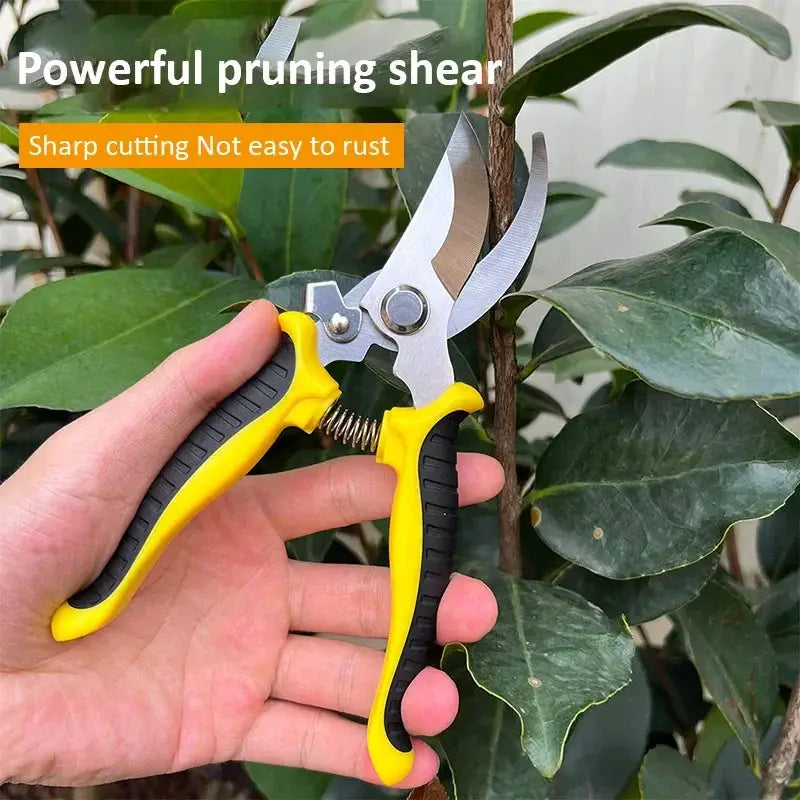 Stainless Steel Pruning Scissors For Gardening Branches