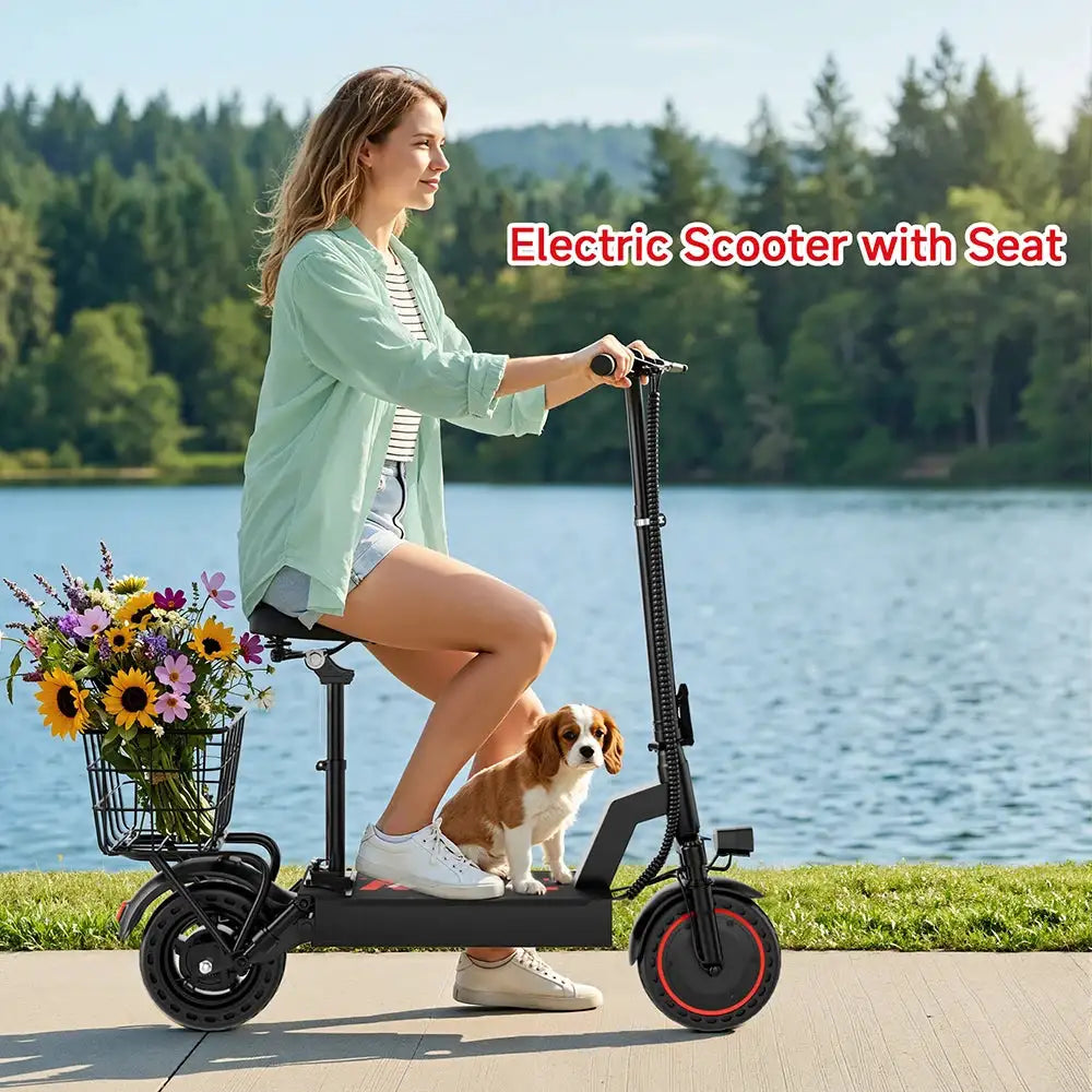 Foldable E-Scooter - Range — product view 8