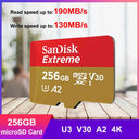 SanDisk Endurance MicroSD High Performance Card