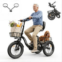 Folding Electric Trike For Adults