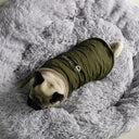 Winter Dog Jacket: Stylish & Warm Small Breed Coat