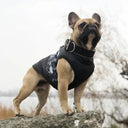 Winter Dog Jacket Waterproof Warm Outfit For Small Dogs