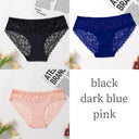 Silk Lace Briefs for Women Luxe Comfort & Elegance Intimates