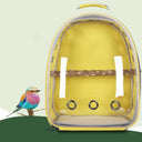Birds Carrier Backpack: Transparent Double Shoulder Bag