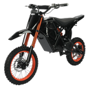 2000W Fat Tire Off Road Riders