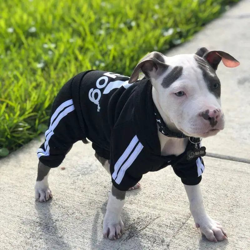 Adidog Luxury Winter Sweater For Small To Medium Dogs