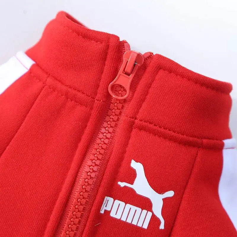 Winter Pet Baseball Jacket For Small To Medium Dogs
