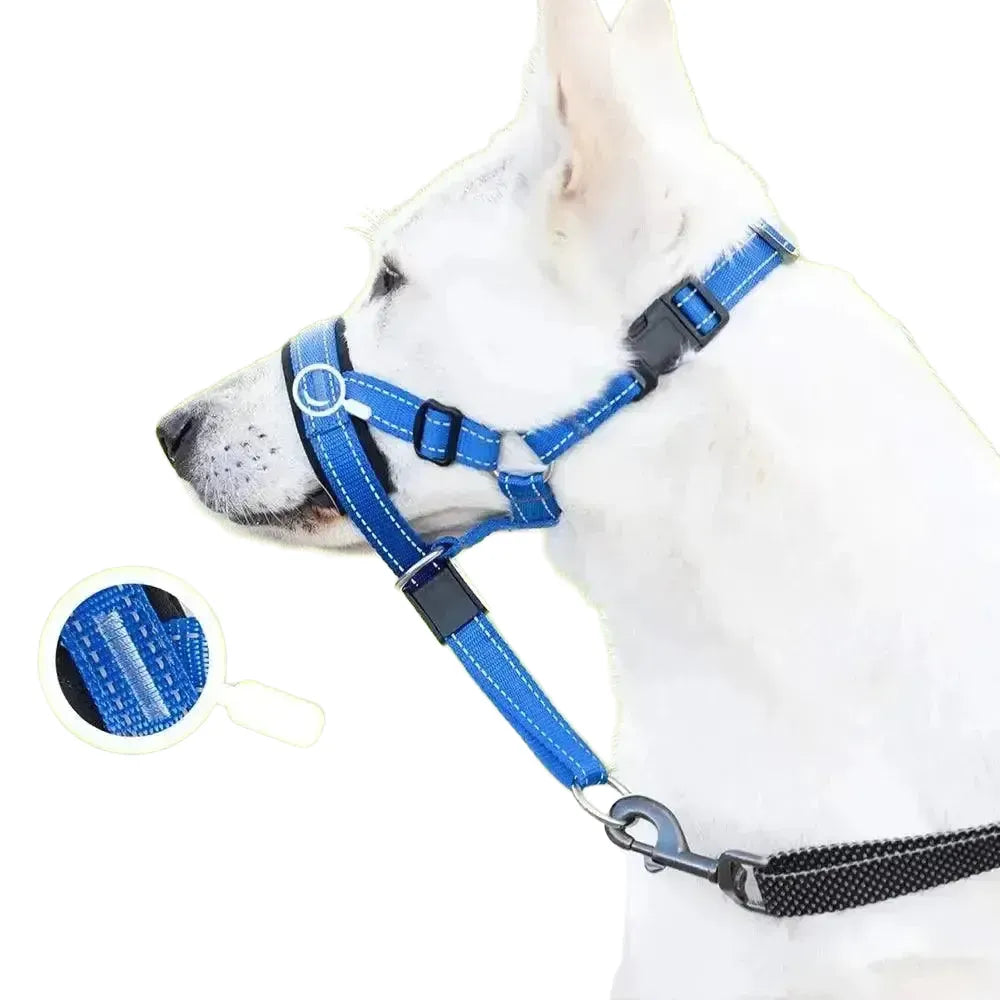 Reflective Dog Muzzle Set for Safe Walks — Orange