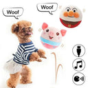 Endless Play Dog Ball Toy for Indoor Fun