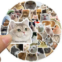 Smart Cat Mood Stickers for DIY Crafts