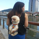 Pet Chest Backpack Outdoor Carrier Sling Mesh Cat Puppy Bag