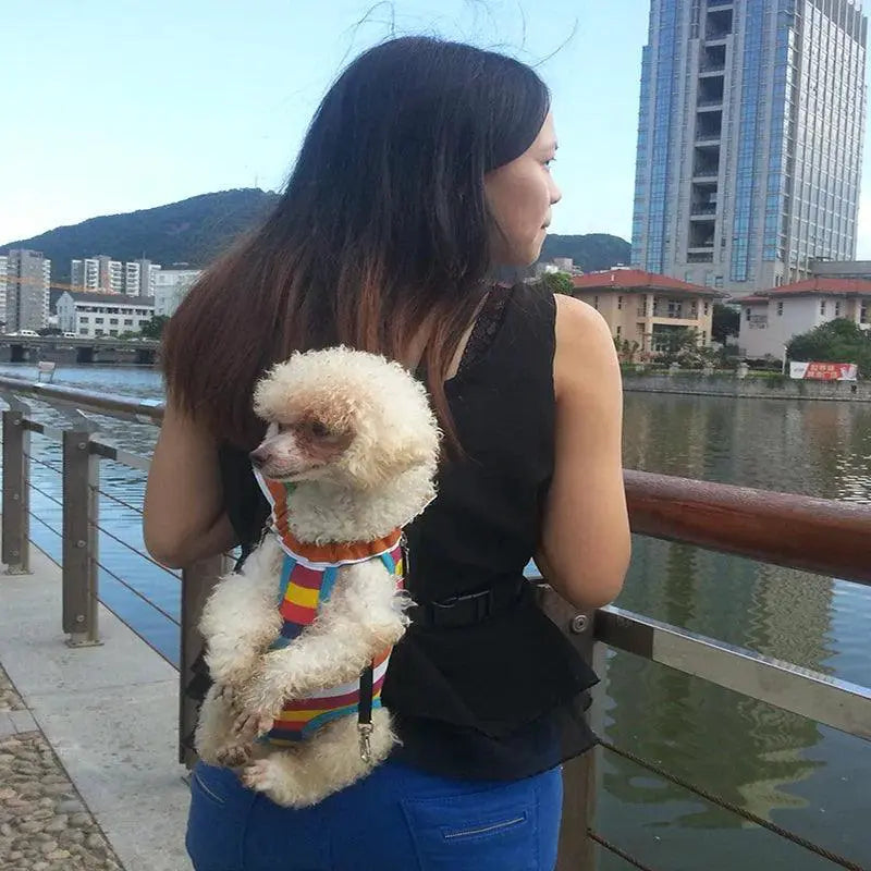 PawVoyage Pet Chest Backpack Mesh Carrier Outdoor Sling