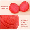 Durable Rubber Dog Toy Ball for Puppies