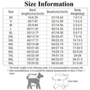 Winter Dog Hoodies: Stylish Fleece Pet Apparel For Dogs