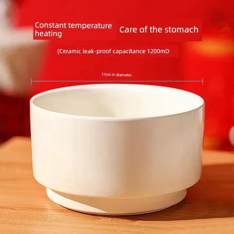 Heating Winter Automatic Warm Water Device For Dogs And Cats