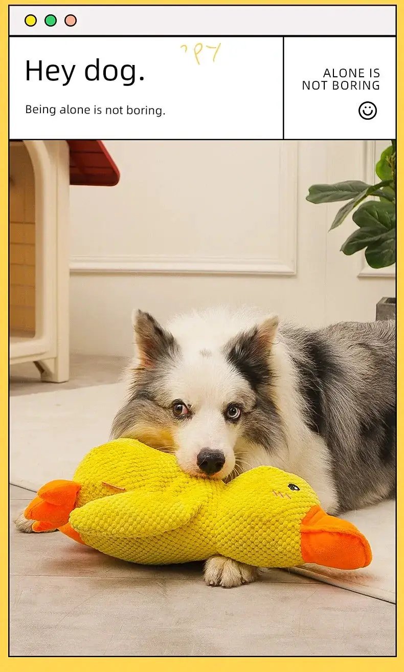 Durable Dog Chew Toy for Large Dogs — product view 11