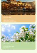 Type-C Charging Wireless Automatic Aerosol Dispenser Aromatherapy Fragrance