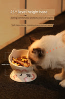 Pet Heating Winter Dog Automatic Warm Water Cat Device