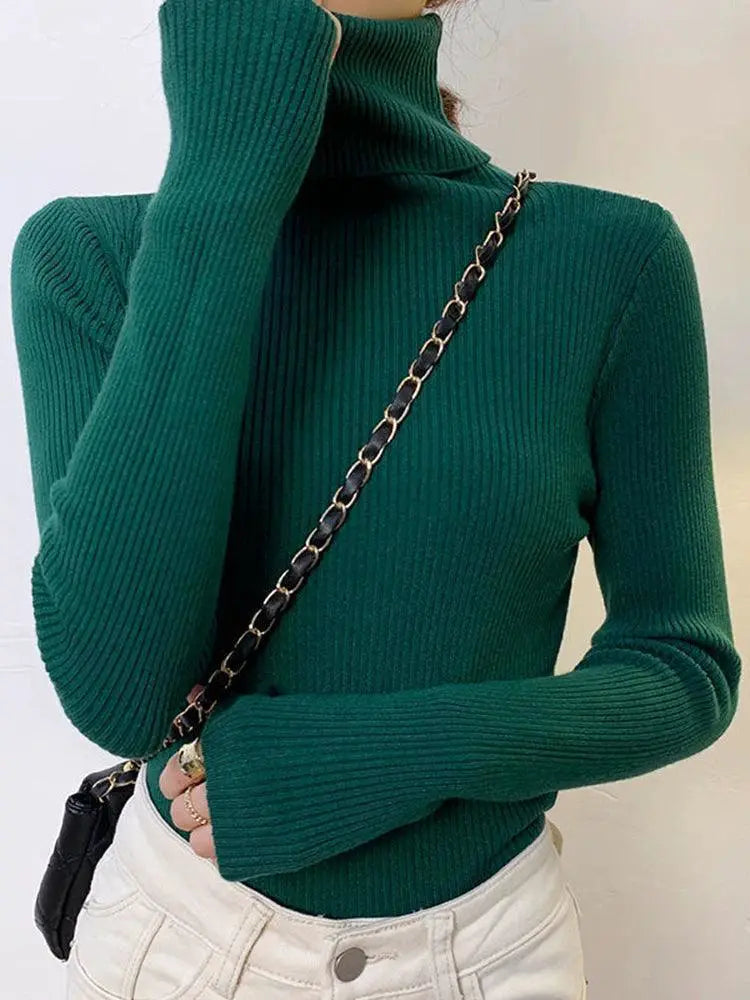 Cozy Chic Slim Fit Turtleneck Sweater For Fall Fashion