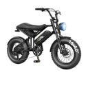 Qlife Spark D1 Fat Tire Electric Bike