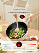 Fast Heating 2L Multi Cooker for Solo