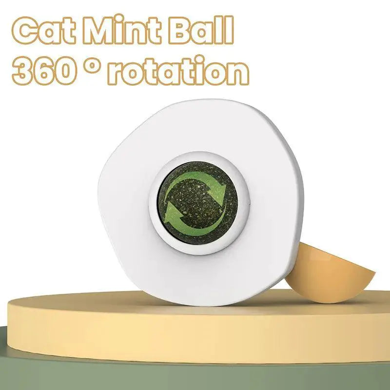 Interactive Cat Toy Ball for Dental Health and Fun Play