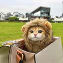 Cute Lion Mane Costume Hat for Pets Adorable Dress-Up Accessory