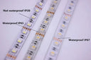 Vibrant Mood Lighting RGBW RGBWW LED Strip 12V 24V 60-120 LEDs Per Meter SMD5050
