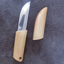 Versatile Stainless Steel Kitchen Utility Knife for Fish Fruits Steak and Barbecue