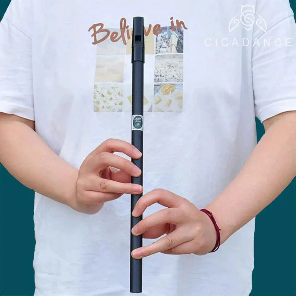 Versatile Irish Whistle Flute In C D E Bb Keys For All