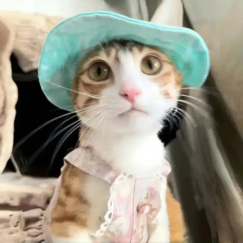 Cute Cat And Dog Sun Hat With Exposed Ears For Pets Outdoor