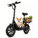 Compact Dyu C4 Foldable Electric Scooter