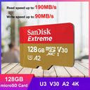 SanDisk High Endurance Memory Card