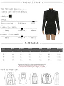 Polished Turtleneck Dress for Women