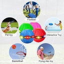 Dog UFO Ball Enhances Interaction and Exercise for All Sizes
