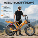 Spacewalk Fat Tire Electric Bike