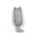 Rustle Sound Catnip Cat Toy for Happy Interactive Play