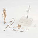 Poseable Sketch Art Model Figure
