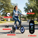 Dyu C3 Foldable Urban Electric Bike