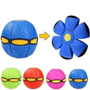 Smart LED Dog Toy for Outdoor Playtime