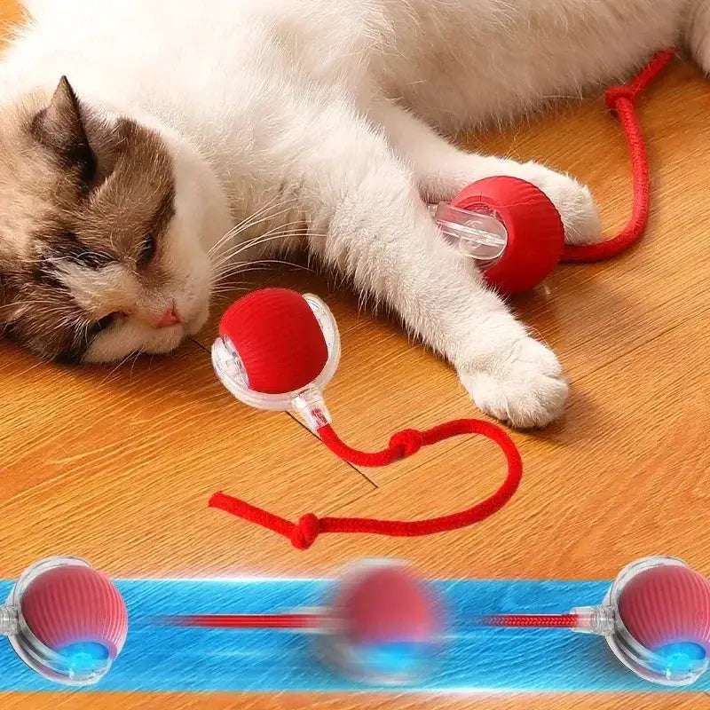 Interactive Auto Electric Rolling Ball Cat Toy for Cats