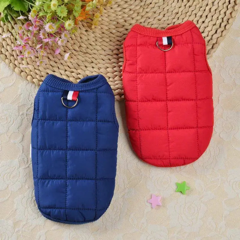 Windproof Winter Dog Jacket For Small Dogs Warm Coat