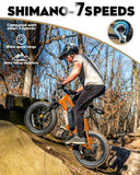 Qlife Fat Tire Ebike - Mile Range