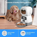 Automatic Pet Feeding Remote Control Cat Dog Food Machine