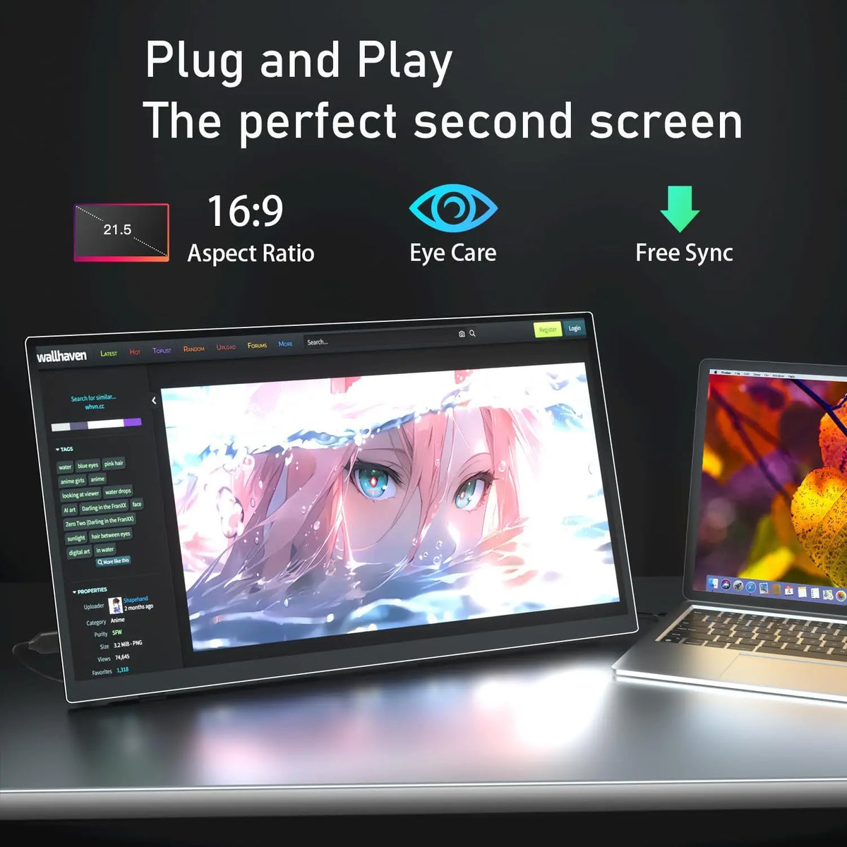 Monitor for Clearer Everyday Viewing
