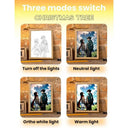 Mood Lighting Night Lamp for Anime Fans